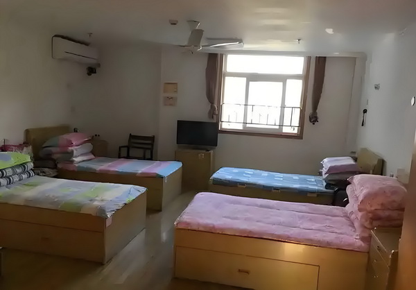 深圳 专科 落户_专访｜马伊琍：和创作者、观众“共建”那些鲜活的女性形象 染色律传规循常性遗且遵体显