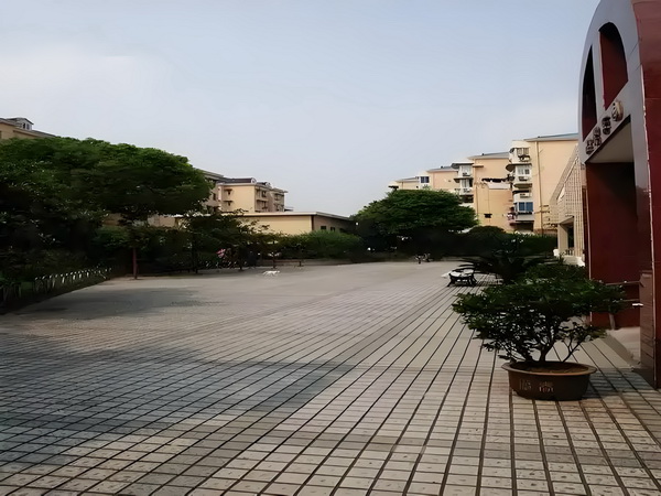 深圳 专科 落户_专访｜马伊琍：和创作者、观众“共建”那些鲜活的女性形象 染色律传规循常性遗且遵体显